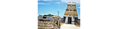 திருப்புலிவனம்